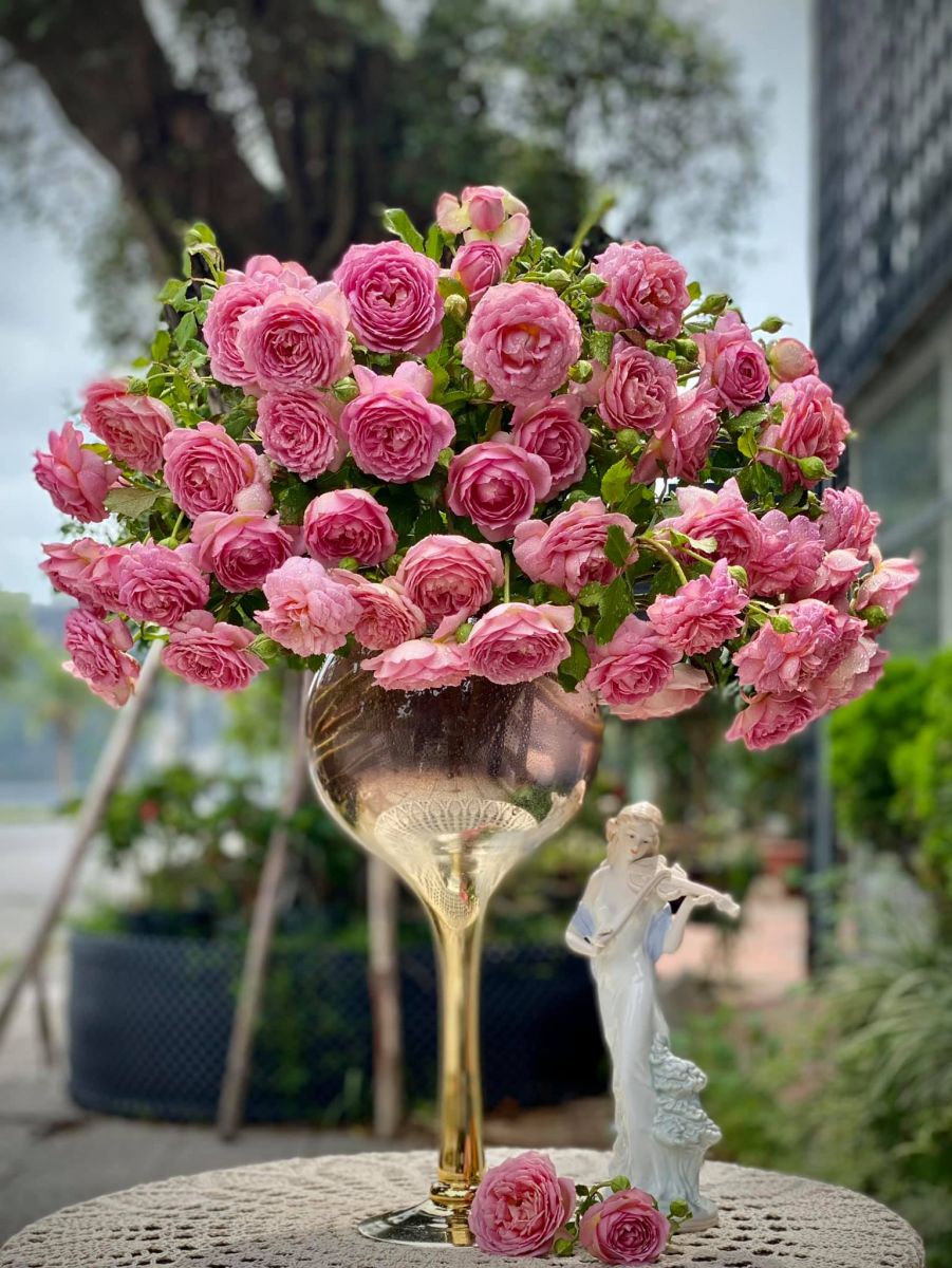 Tử vi hàng ngày 12/4/2022 của 12 cung hoàng đạo